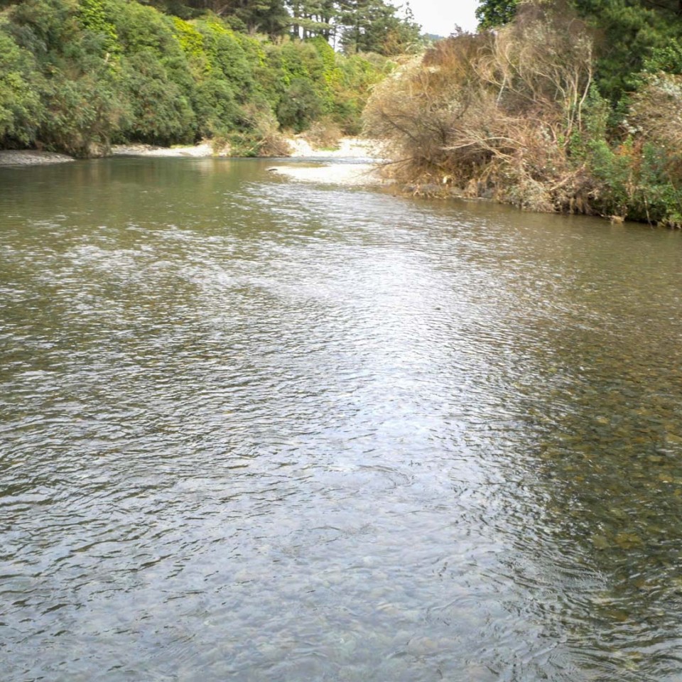 Waikanae River